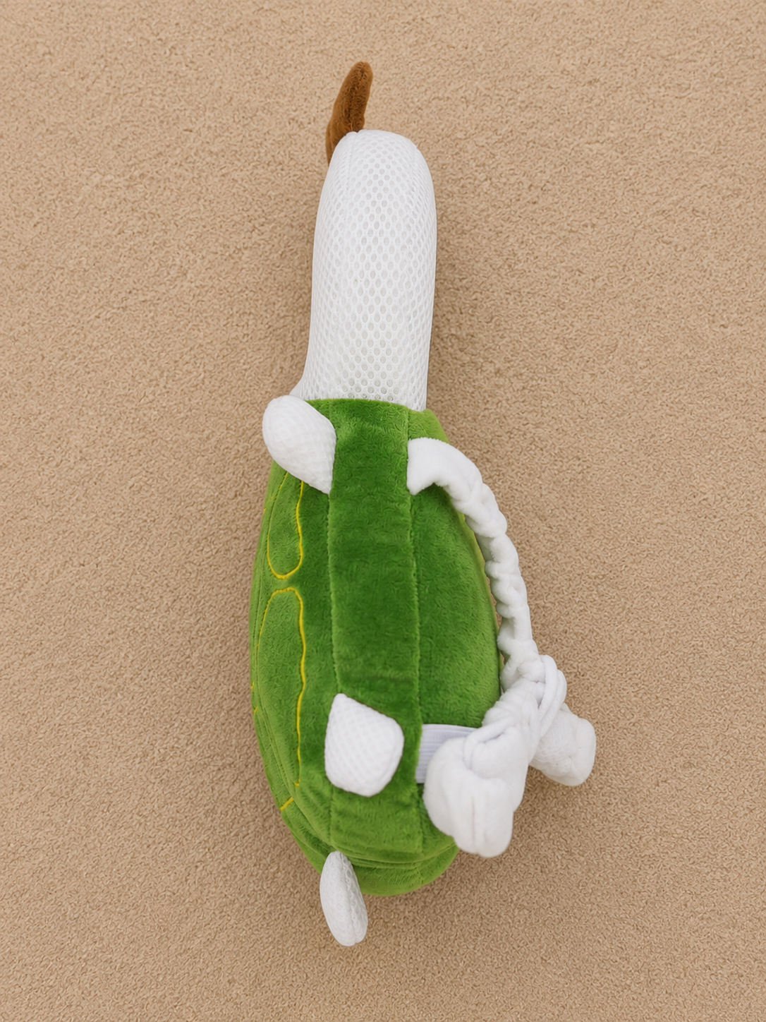 Leepy The Turtle